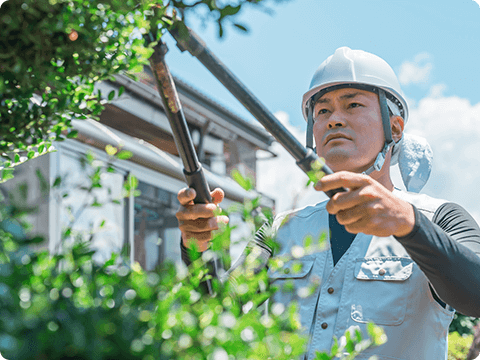 ディープラザとは